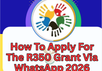 How To Apply For The R350 Grant Via WhatsApp 2026