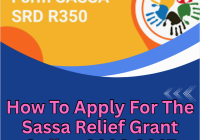 How To Apply For The Sassa Relief Grant Online 2026-2027