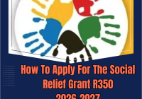 How To Apply For The Social Relief Grant R350 2026-2027