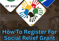 How To Register For Social Relief Grant 2026