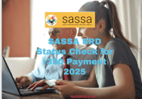 SASSA SRD Status Check for R350 Payment 2025