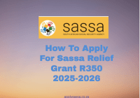 How To Apply For Sassa Relief Grant R350 2025-2026