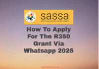 How To Apply For The R350 Grant Via Whatsapp 2025