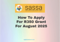 How To Apply For R350 Grant For August