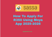 How To Apply For R350 Using Moya App 2025-2026