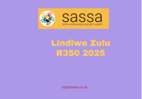 Lindiwe Zulu R350 2025