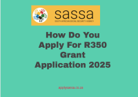 How Do You Apply For R350 Grant Application 2025