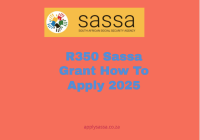 R350 Sassa Grant How To Apply 2025