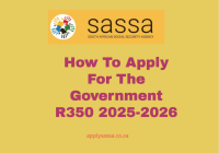 How To Apply For The Government R350 2025-2026