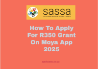 How To Apply For R350 Grant On Moya App 2025