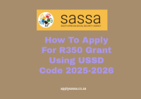 How To Apply For R350 Grant Using USSD Code 2025-2026