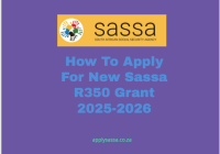 How To Apply For New Sassa R350 Grant 2025-2026