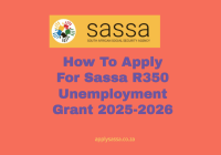How To Apply For Sassa R350 Unemployment Grant 2025-2026