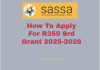 How To Apply For R350 Srd Grant 2025-2026