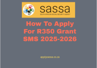 How To Apply For R350 Grant SMS 2025-2026