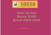 How To Get Sassa R350 Grant 2025-2026