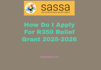 How Do I Apply For R350 Relief Grant 2025-2026