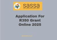 Application For R350 Grant Online 2025