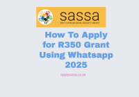 How To Apply for R350 Grant Using Whatsapp 2025