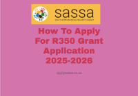 How To Apply For R350 Grant Application 2025-2026