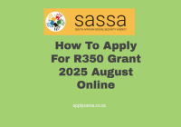 How To Apply For R350 Grant 2025 August Online