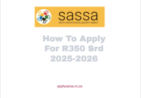 How To Apply For R350 Srd 2025-2026