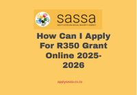 How Can I Apply For R350 Grant Online 2025-2026