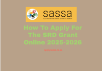 How To Apply For The SRD Grant Online 2025-2026