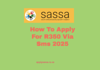 How To Apply For R350 Via Sms 2025