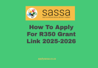 How To Apply For R350 Grant Link 2025-2026