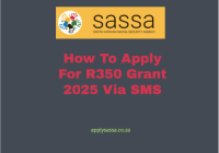 How To Apply For R350 Grant 2025 Via SMS