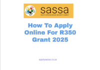 How To Apply Online For R350 Grant 2025