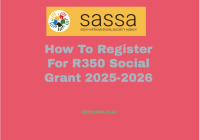 How To Register For R350 Social Grant 2025-2026