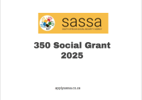 350 Social Grant 2025