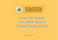 How To Apply For Srd Grant R350 2025-2026