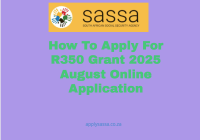 How To Apply For R350 Grant 2025 August Online Application