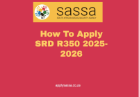 How To Apply SRD R350 2025-2026