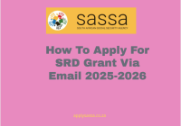 How To Apply For SRD Grant Via Email 2025-2026