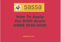 How To Apply For R350 Grant USSD 2025-2026